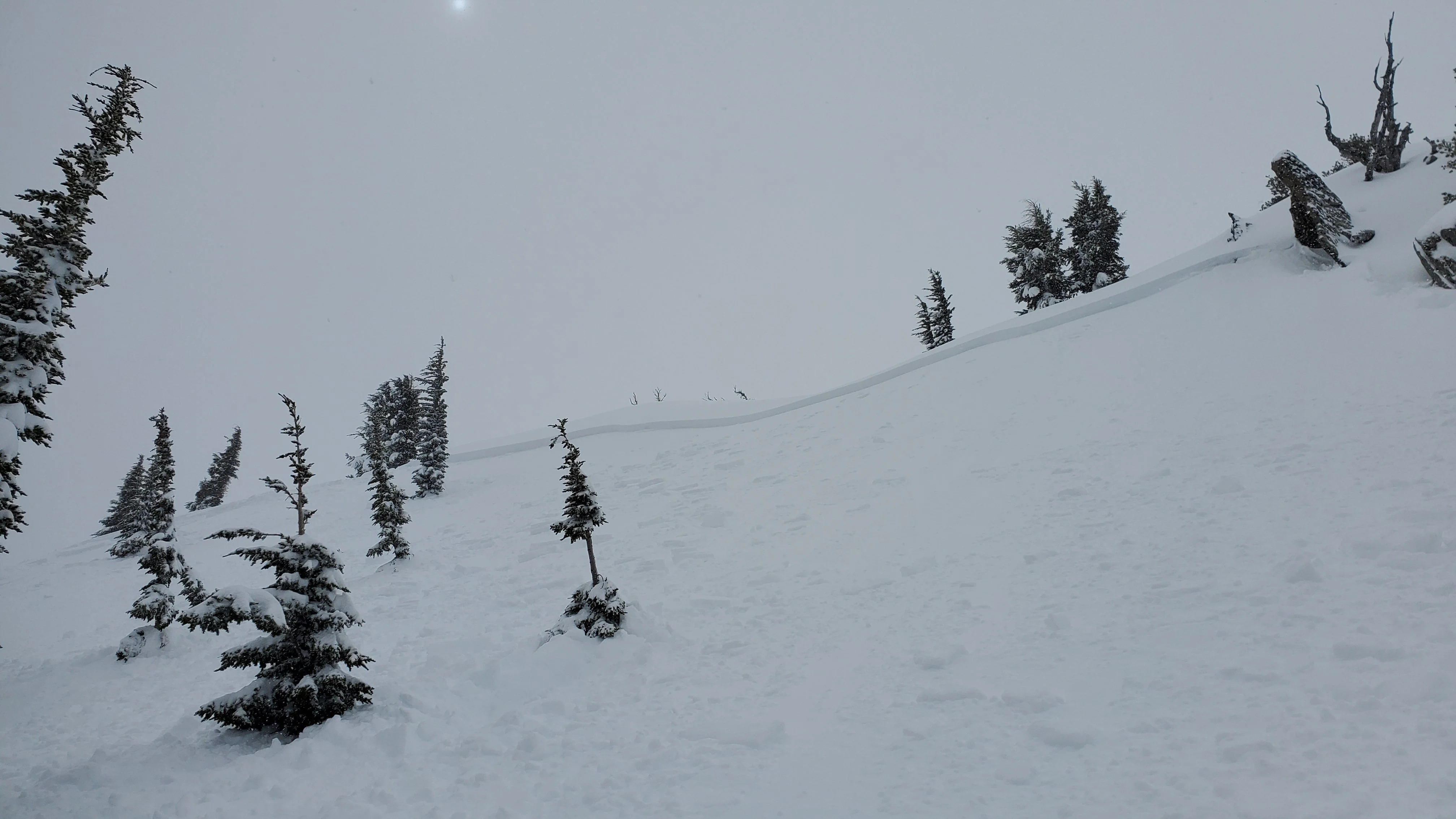 AIARE 1 Avalanche Course - Mammoth - Image 5