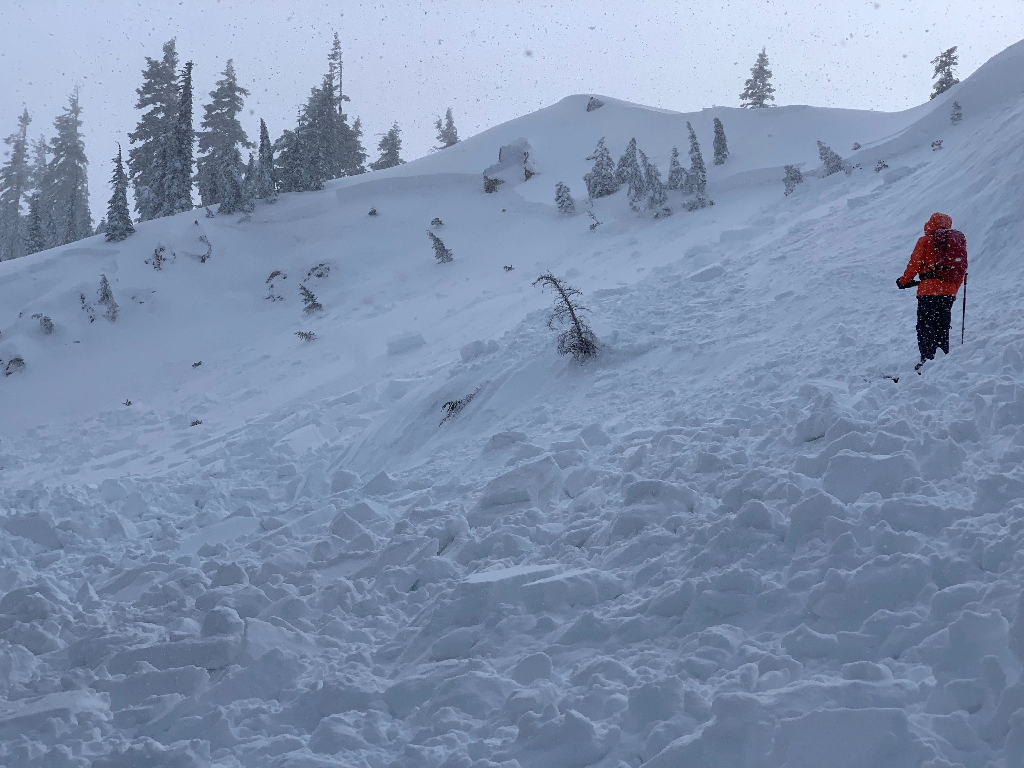 AIARE 1 Avalanche Course - Washington - Image 5