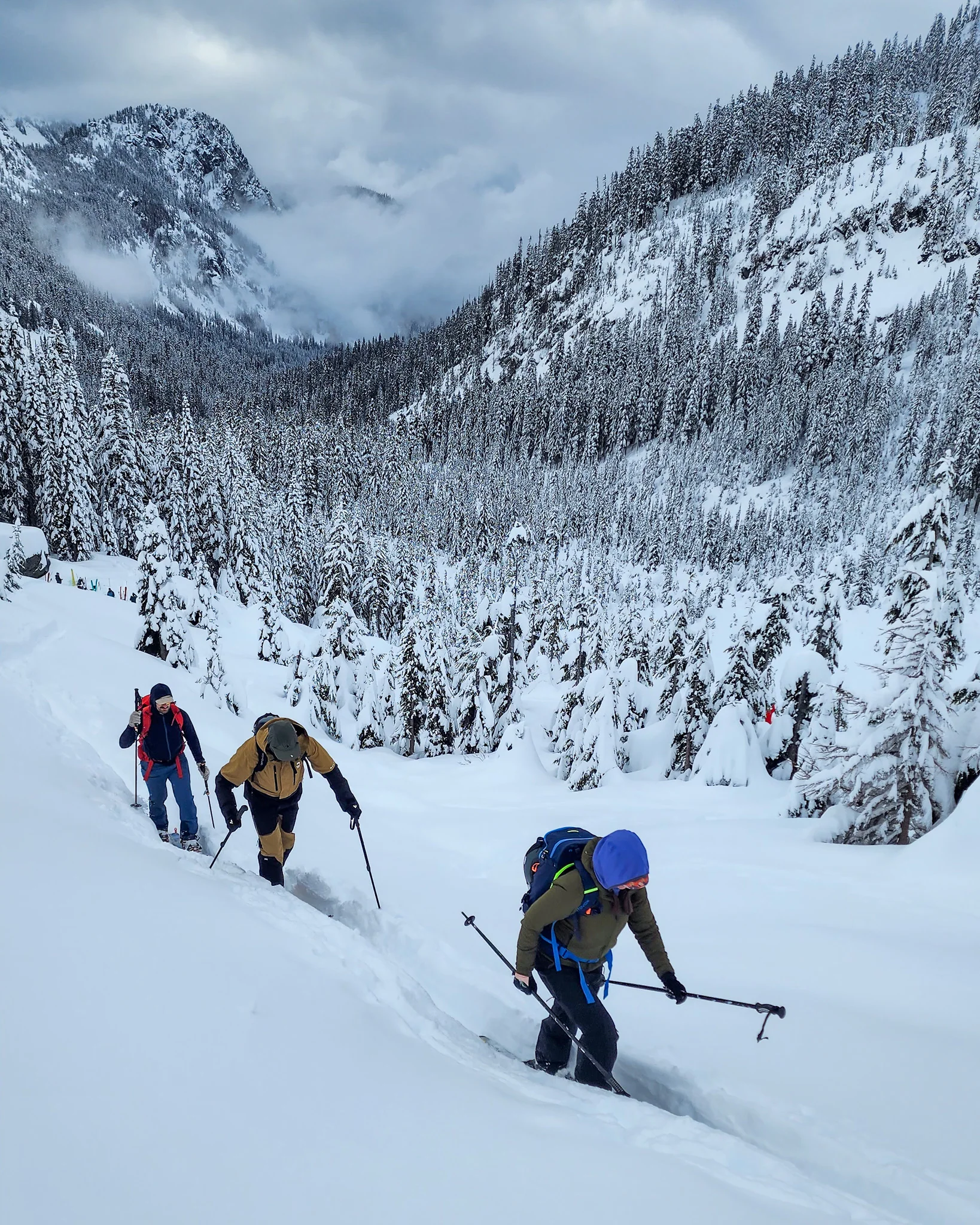 AIARE 1 Avalanche Course - Washington