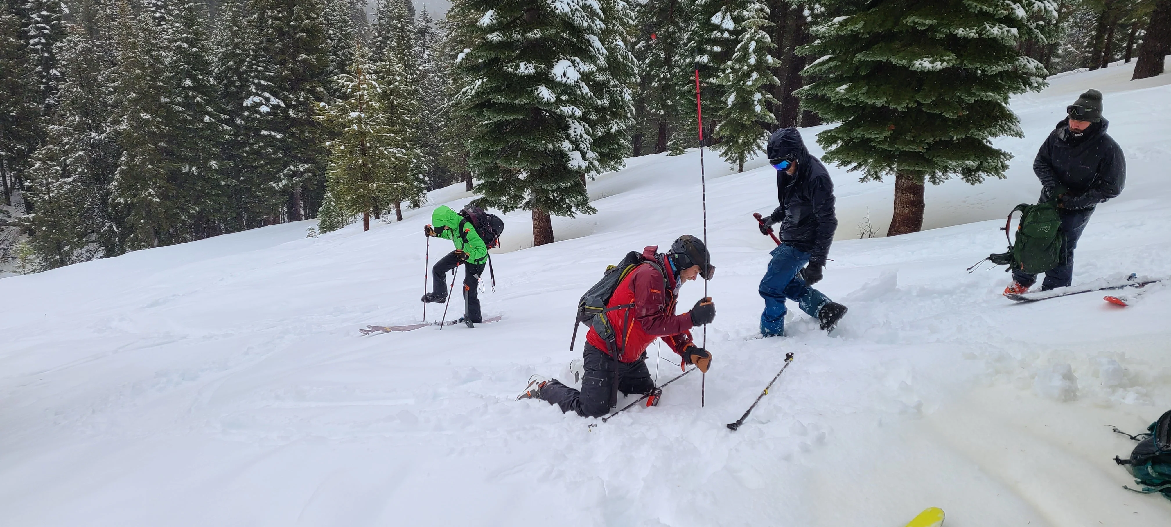 AIARE Avalanche Rescue Course - Washington