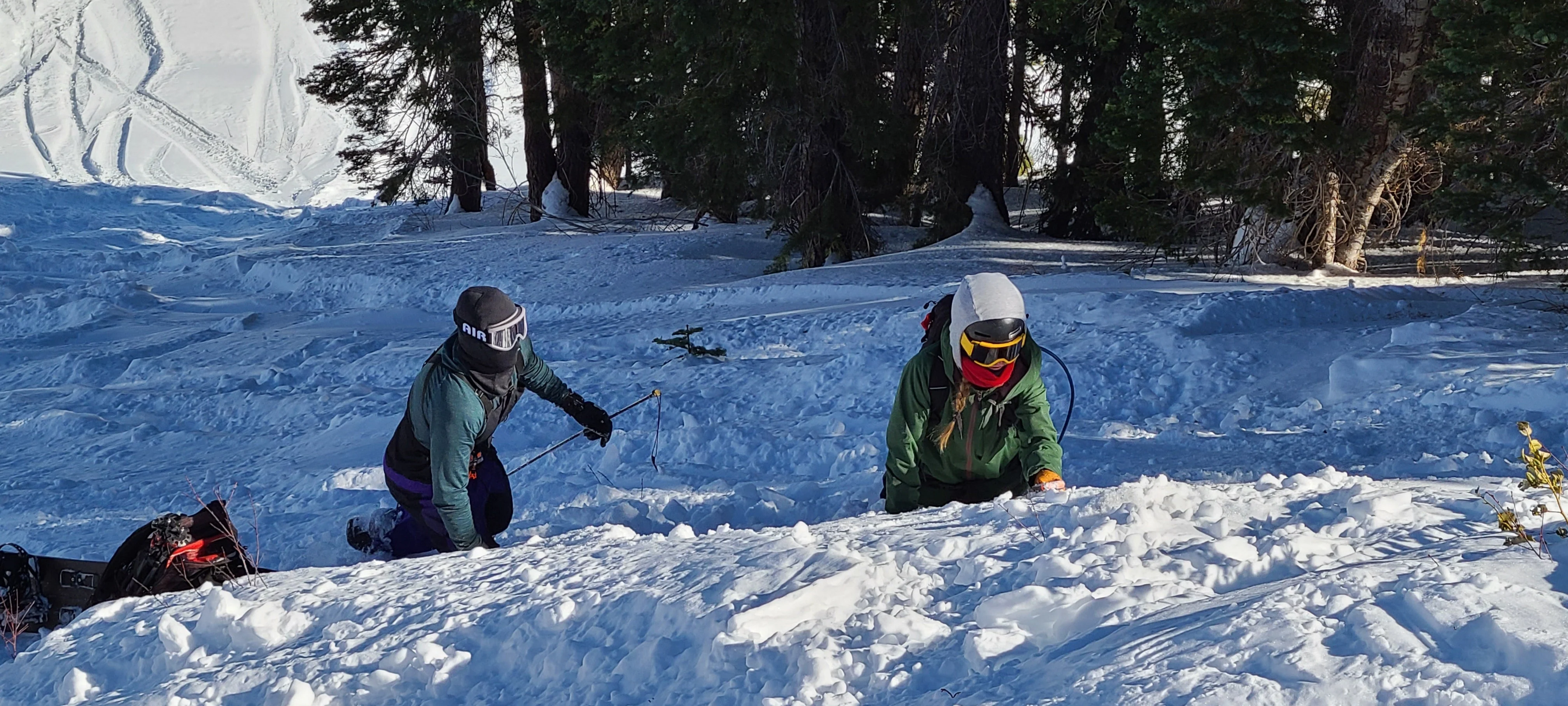 AIARE Avalanche Rescue Course - Washington - Image 4