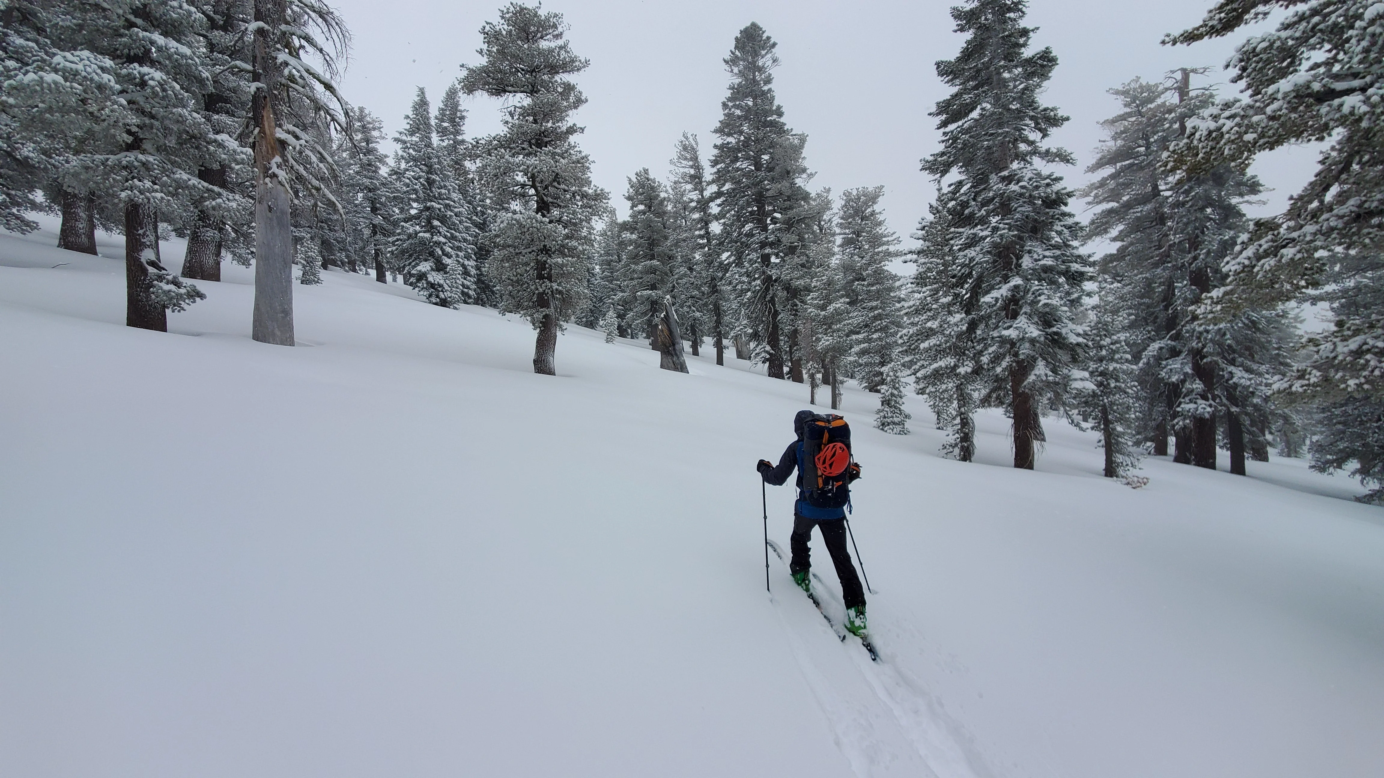 Mammoth Backcountry Skiing & Splitboarding - Image 4