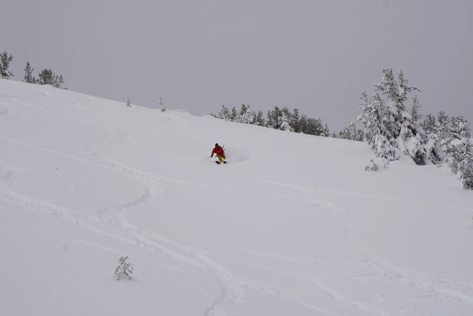 Mt Rose Backcountry Skiing & Splitboarding - Image 2