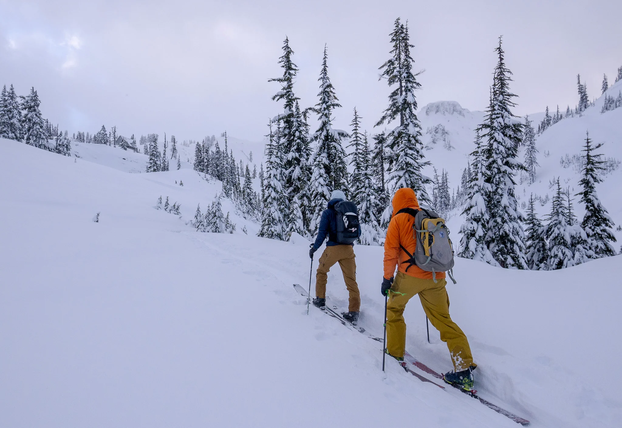 Backcountry Skiing Mt Baker - Private - Image 2