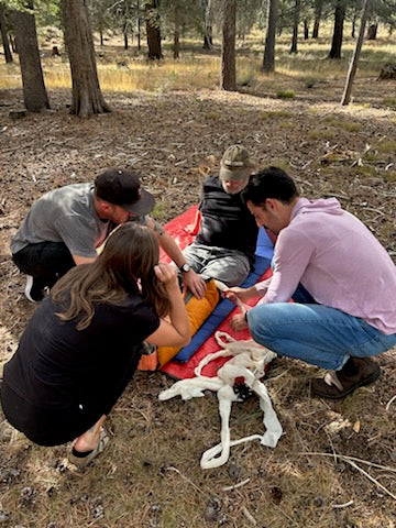 Wilderness First Responder (WFR) - Image 2