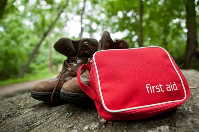 Wilderness First Aid (WFA) in Tahoe - Image 6